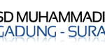 Sdmusix Logo1