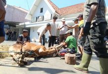 IMG 20250606 WA0047 (1)